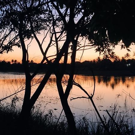 Pe Na Areia Itacimirim Villa Camaçari Kültér fotó